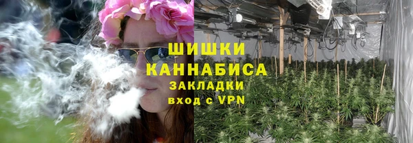 гашик Нефтекумск