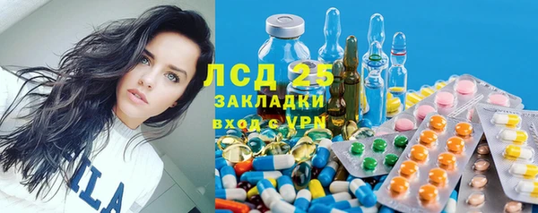 гашик Нефтекумск