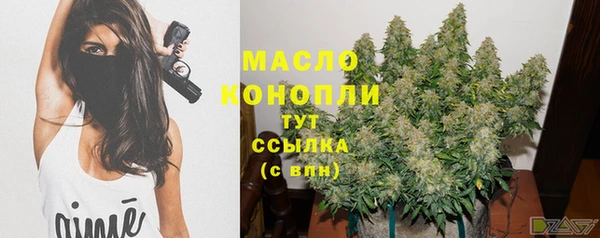 гашик Нефтекумск