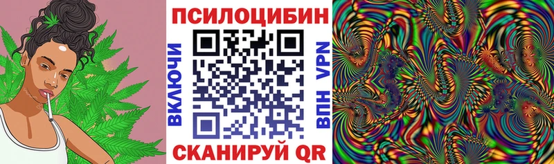 Псилоцибиновые грибы Cubensis  Ирбит 