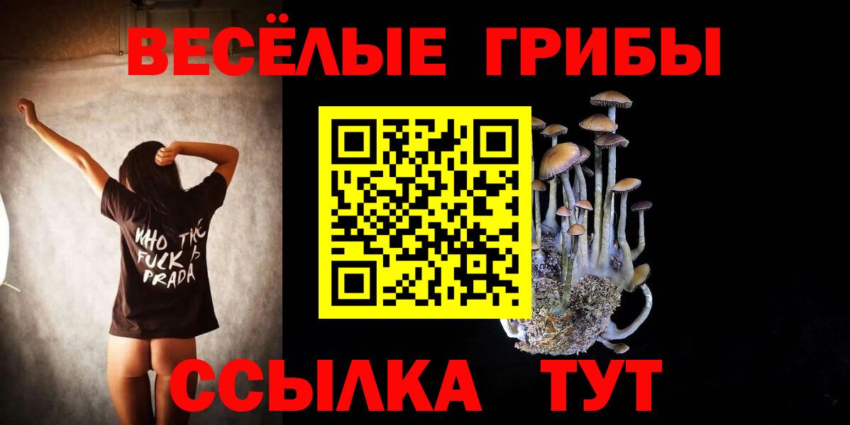 Ирбит  Галлюциногенные грибы Psilocybe  Галлюциногенные грибы мицелий  Вход с VPN 