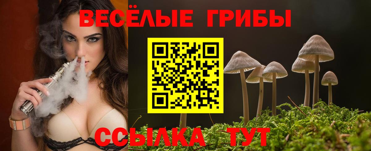 Галлюциногенные грибы Psilocybe Ирбит